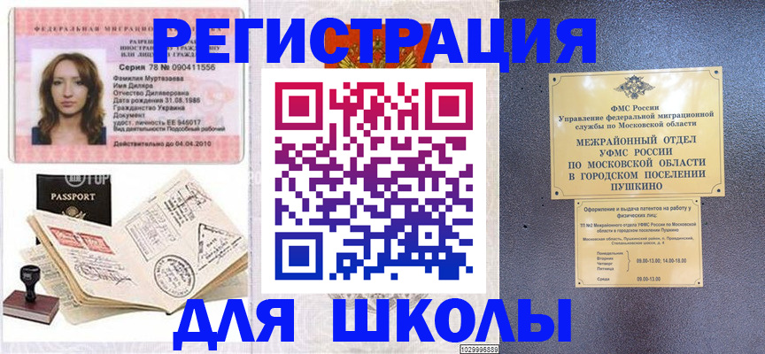 временная регистрация госуслуги в Щёлково